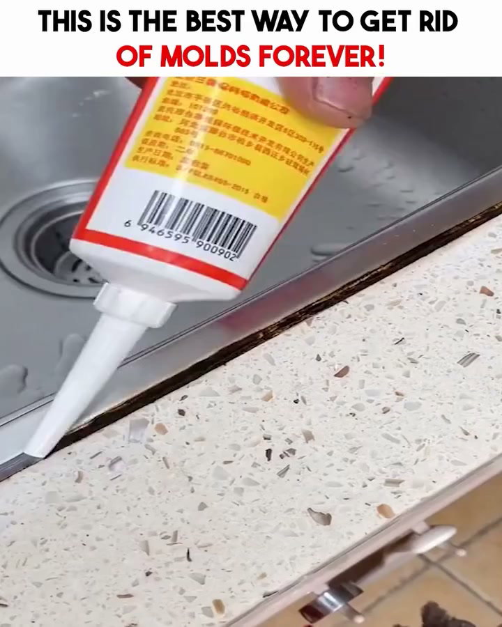 Dì Addio alla Muffa Ostinata!