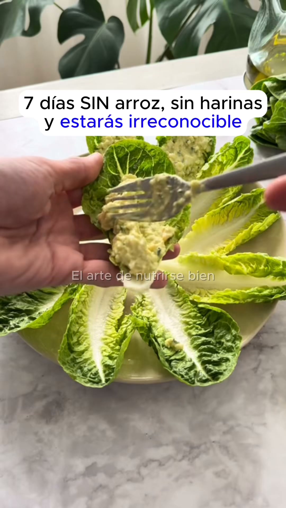 +10,259 DESCARGAS
