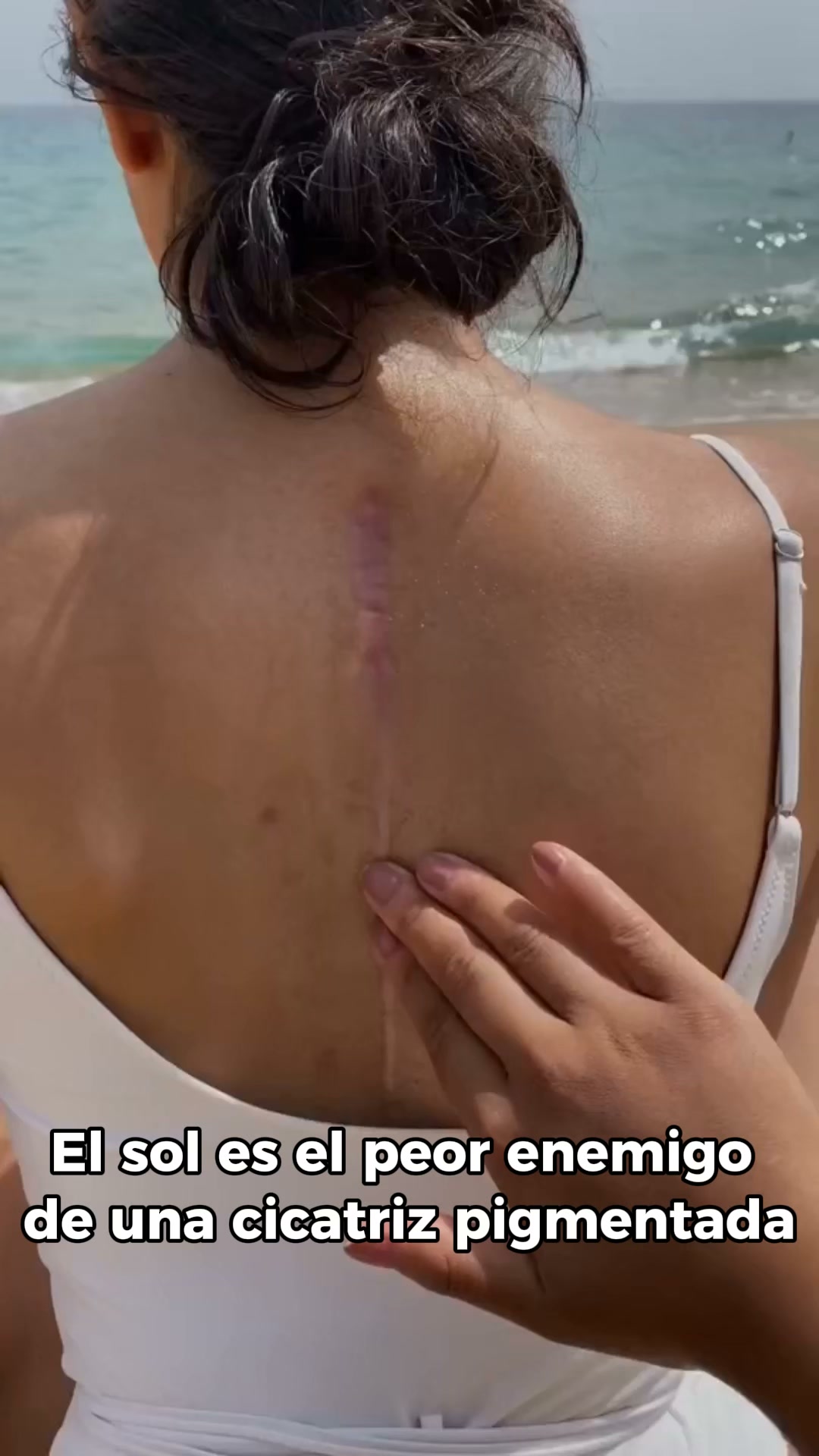 Envío Gratis - Entrega 24-48 horas
