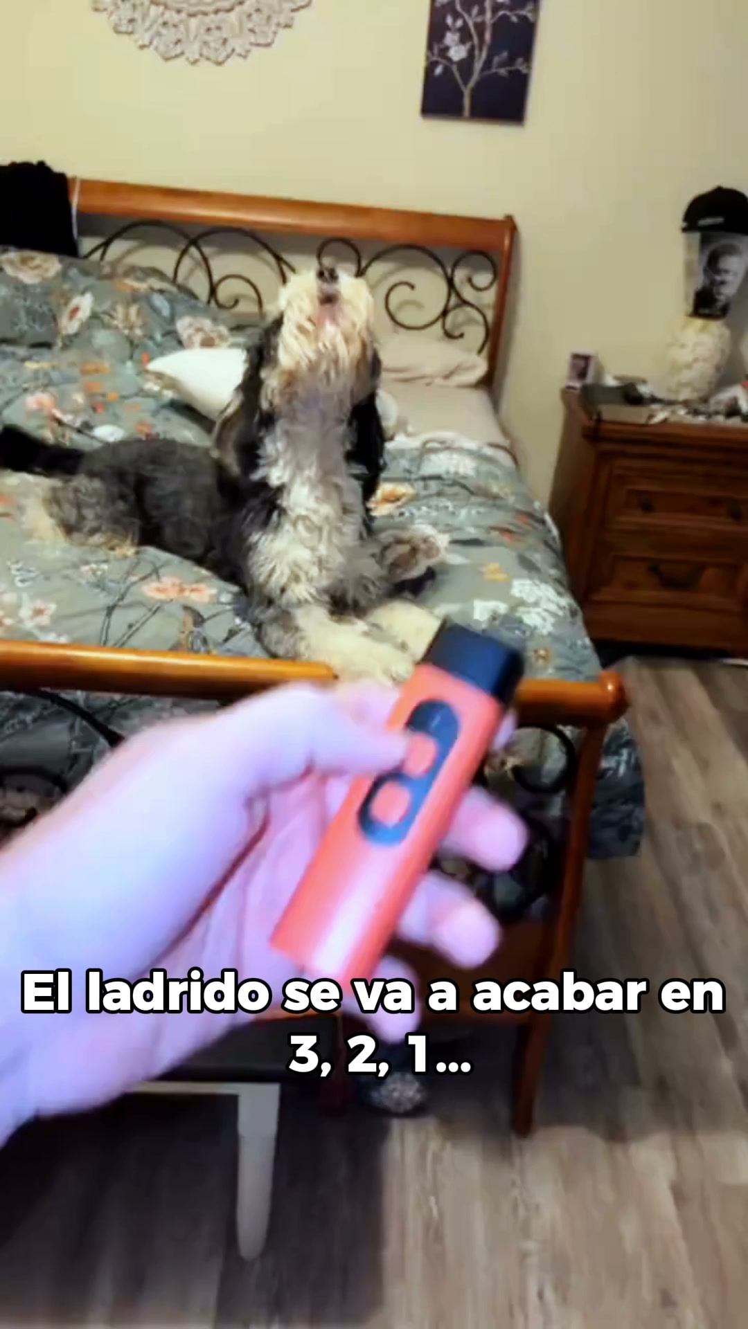 Envío gratis · Garantía 100 días