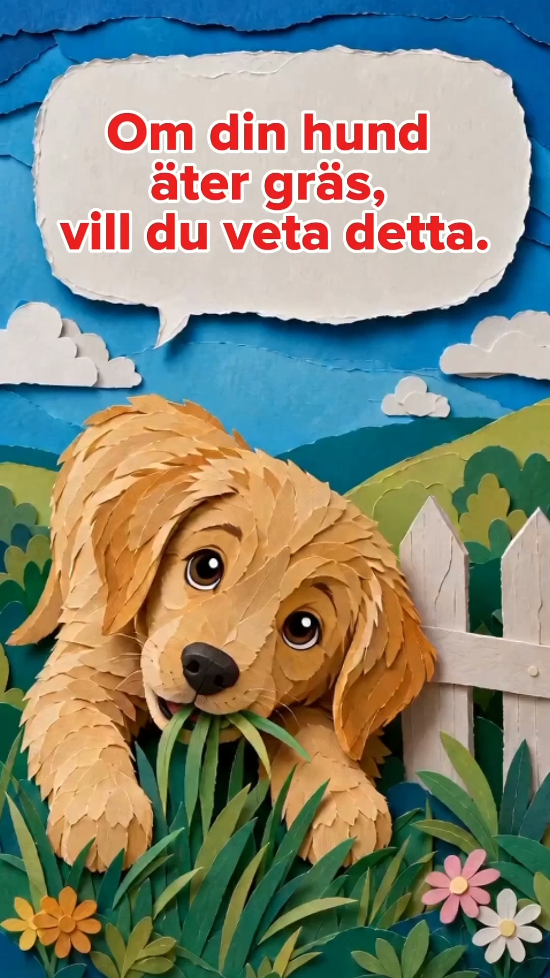 25,000+ hundägare kan inte ha fel