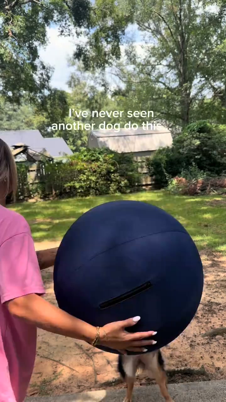 The One Thing Your Dog Actually Needs