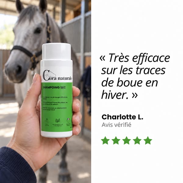 Shampoing sec pour cheval · Sans eau