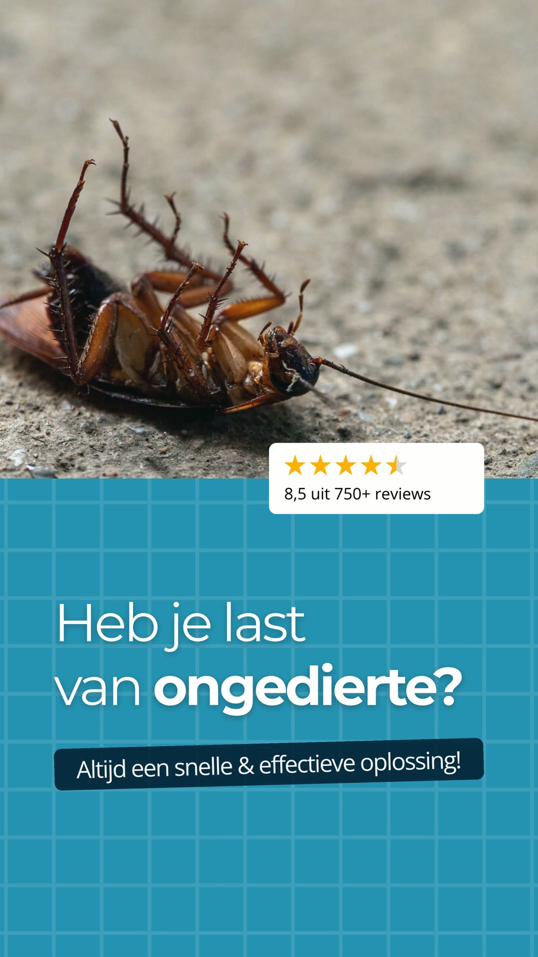 Alles voor het bestrijden van ongedierte