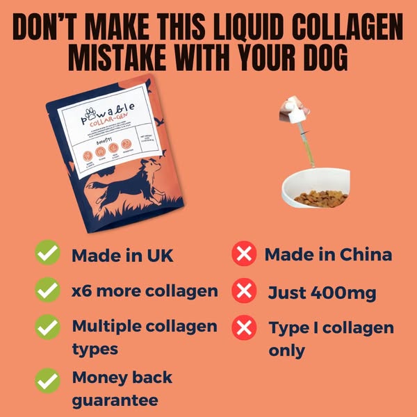 Read this before choosing a dog collagen
