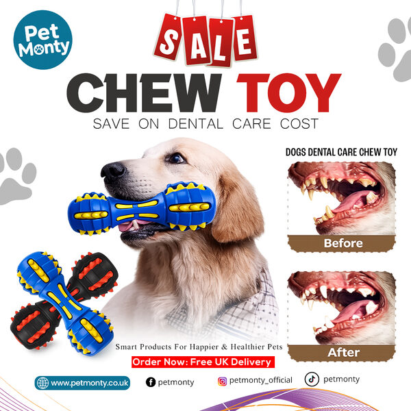 Chew Toy for Healthy Teeth