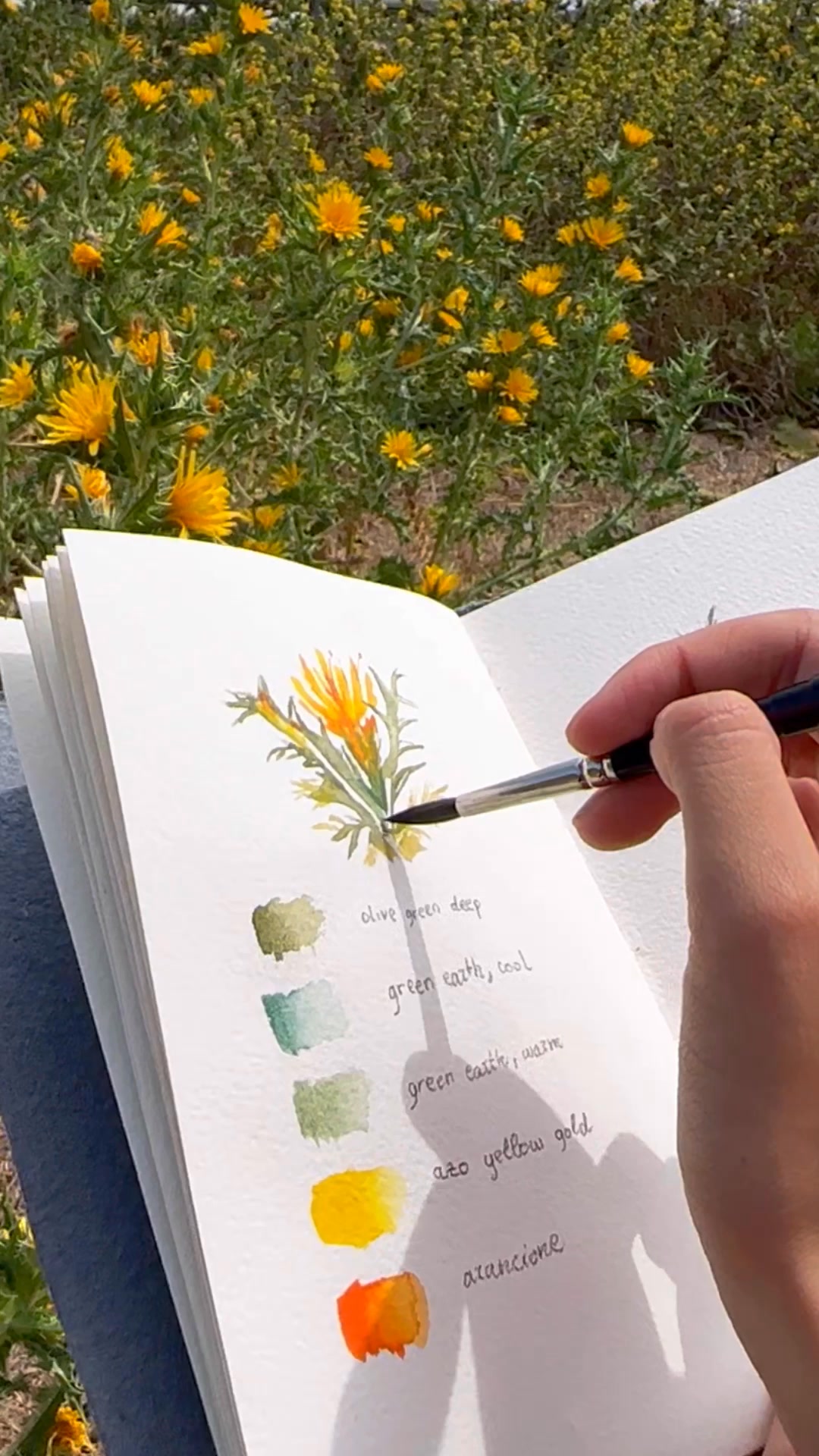 Let nature inspire you