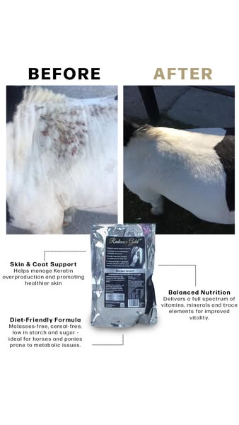 Support your horse's skin and coat. FREE DELIVERY.