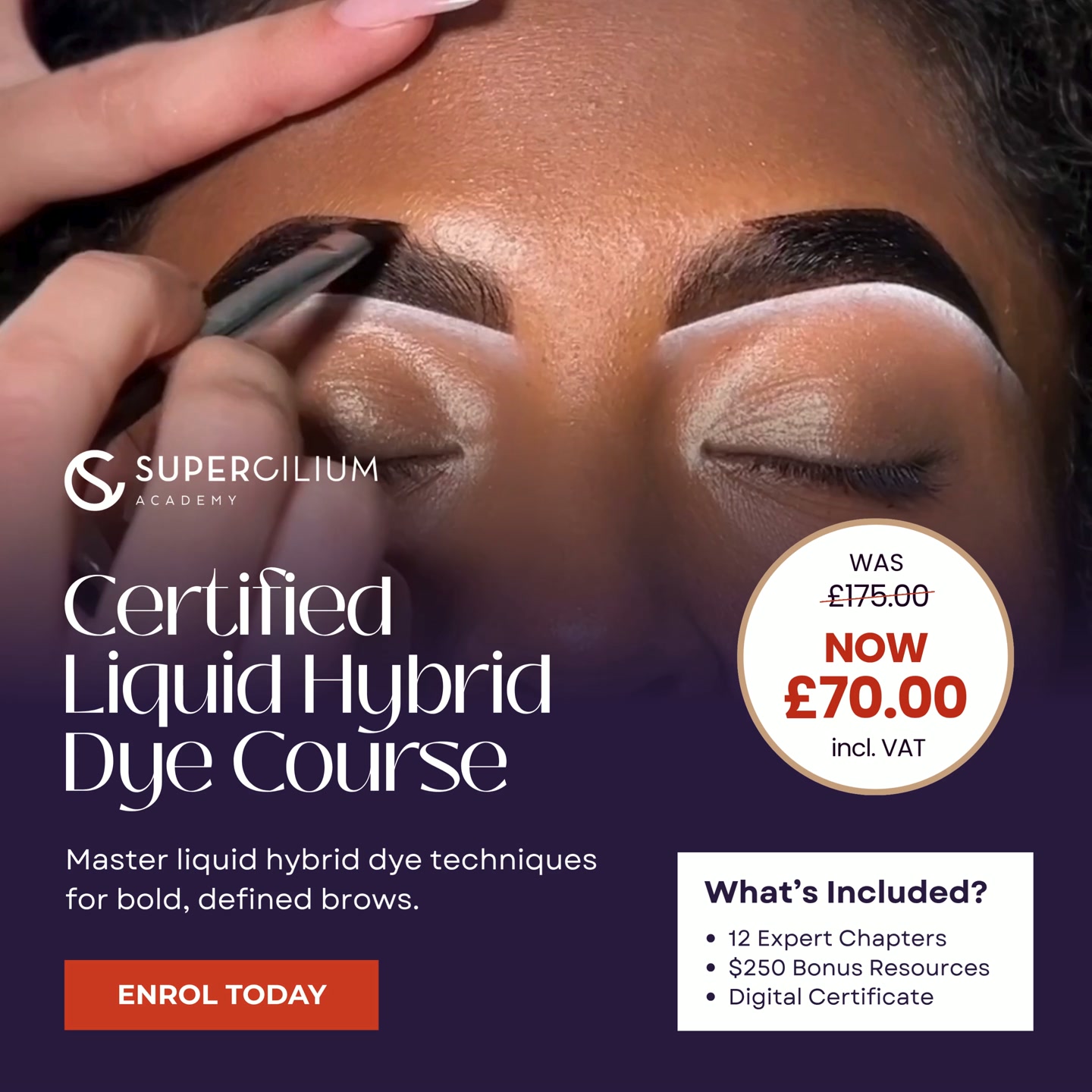 Certified Liquid Hybrid Dye Course