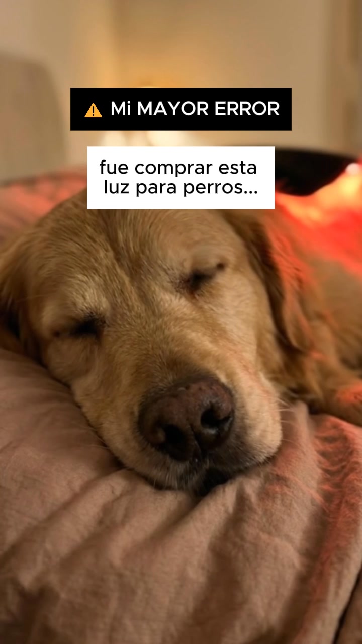 ¿Estafa? Investígalo tú mismo