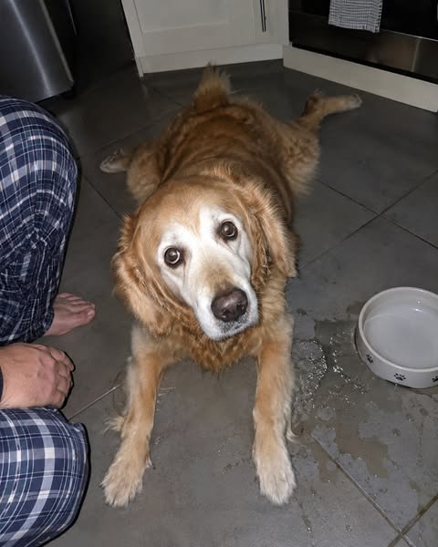 I found her on the kitchen floor