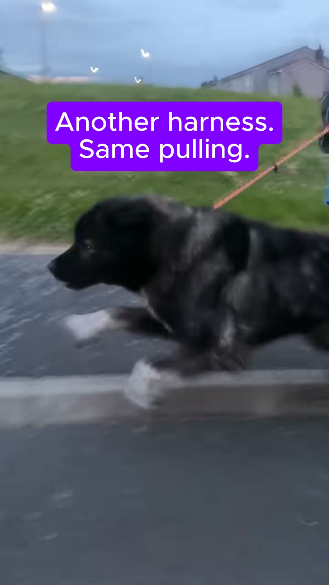 Still pulling? Check the clip.