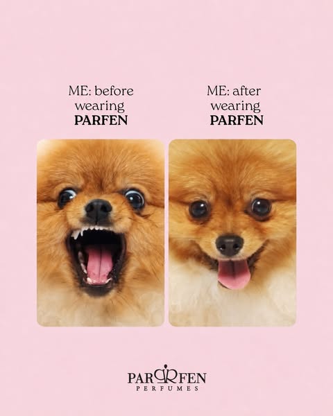The Parfen Effect