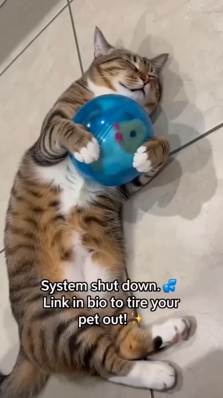 Auto-Rolling Ball with Mouse Hands-Free Play for Indoor Cats