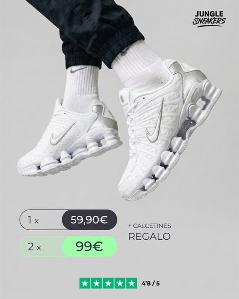 4.8/5