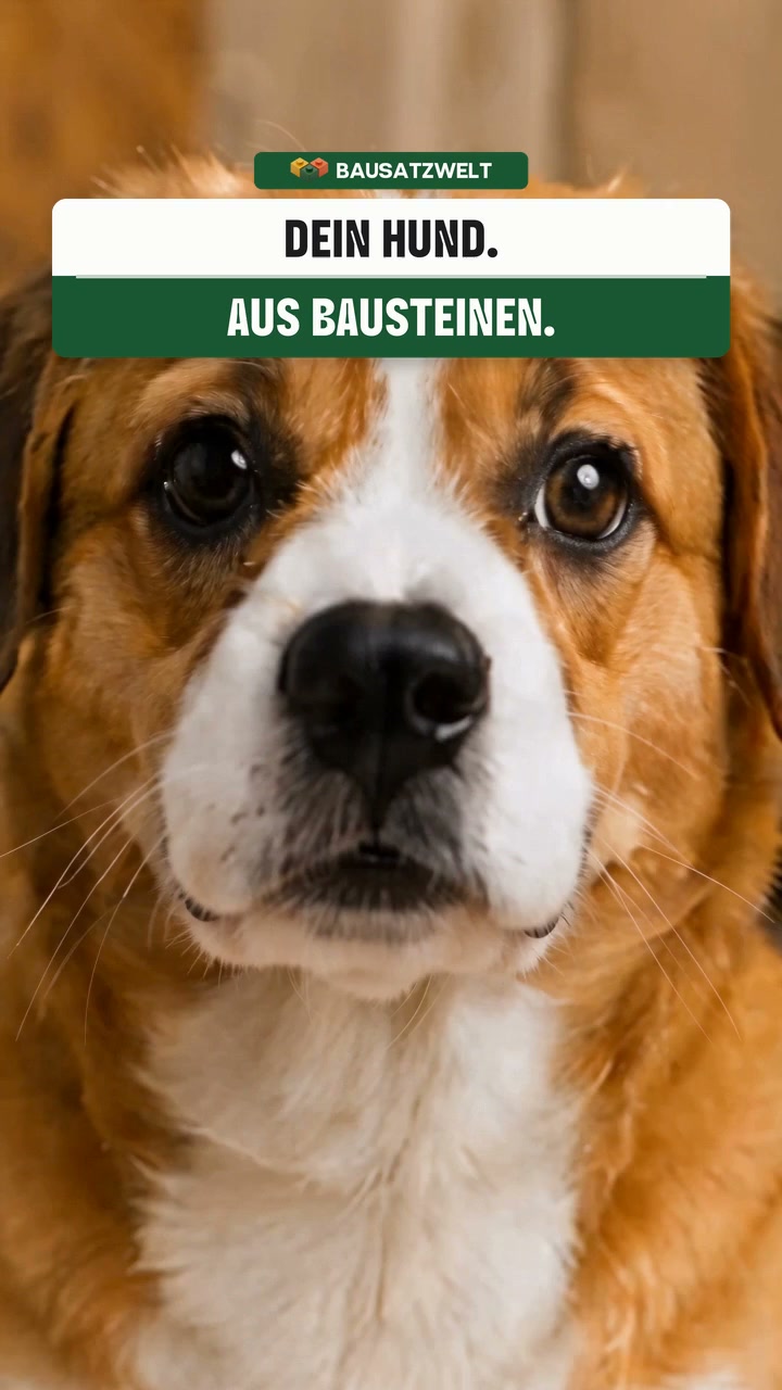 Einzigartige Bausätze für zuhause