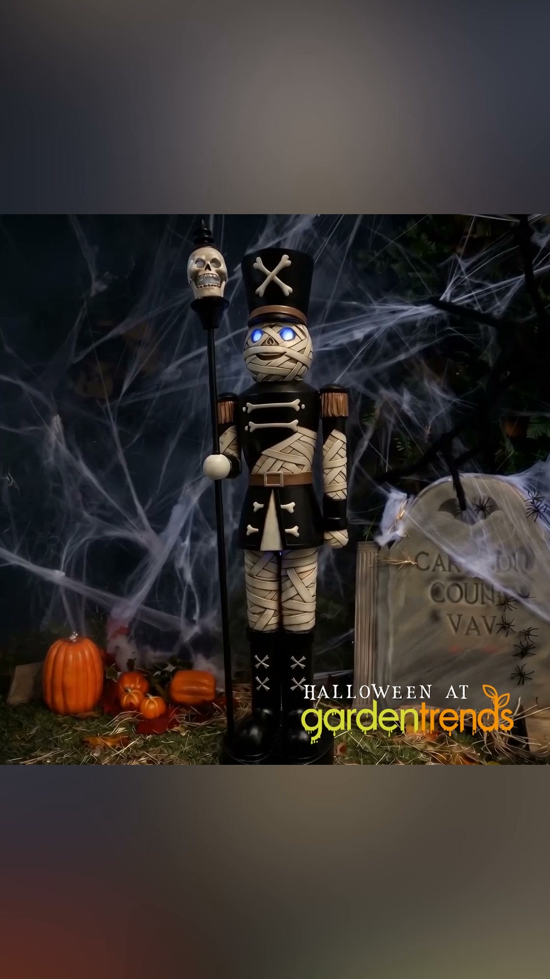 Shop our Halloween Range
