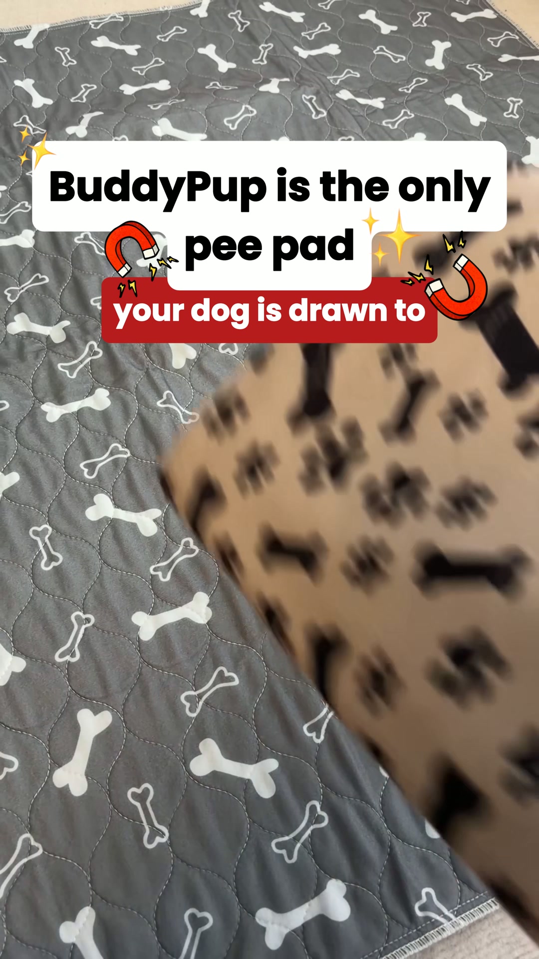 The Pad That Attracts Your Dog