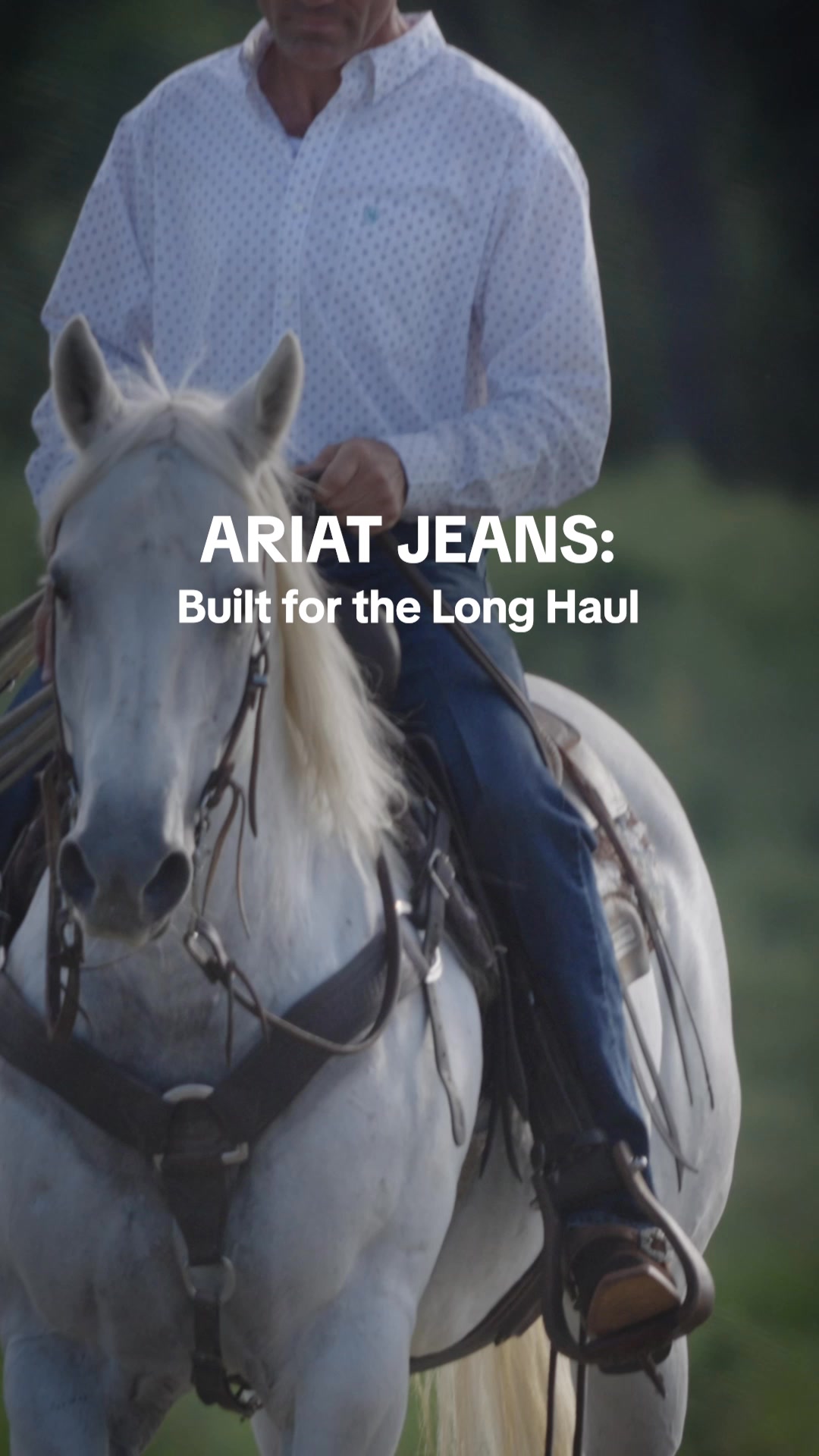 Men's Denim