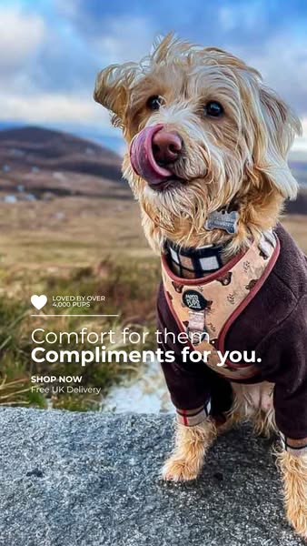 Comfort for Them. Compliments for You.