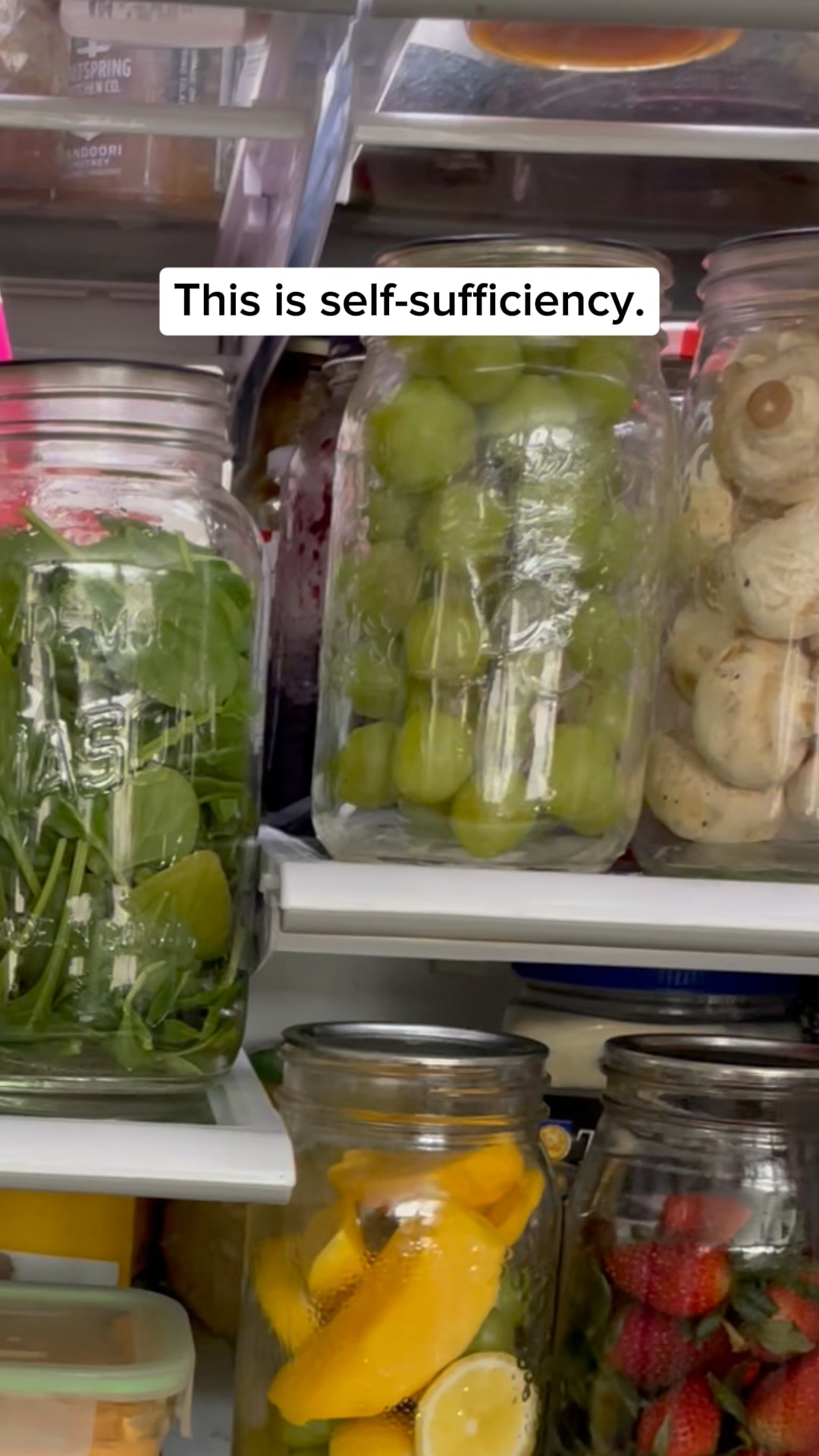 #1 Food Storage Hack