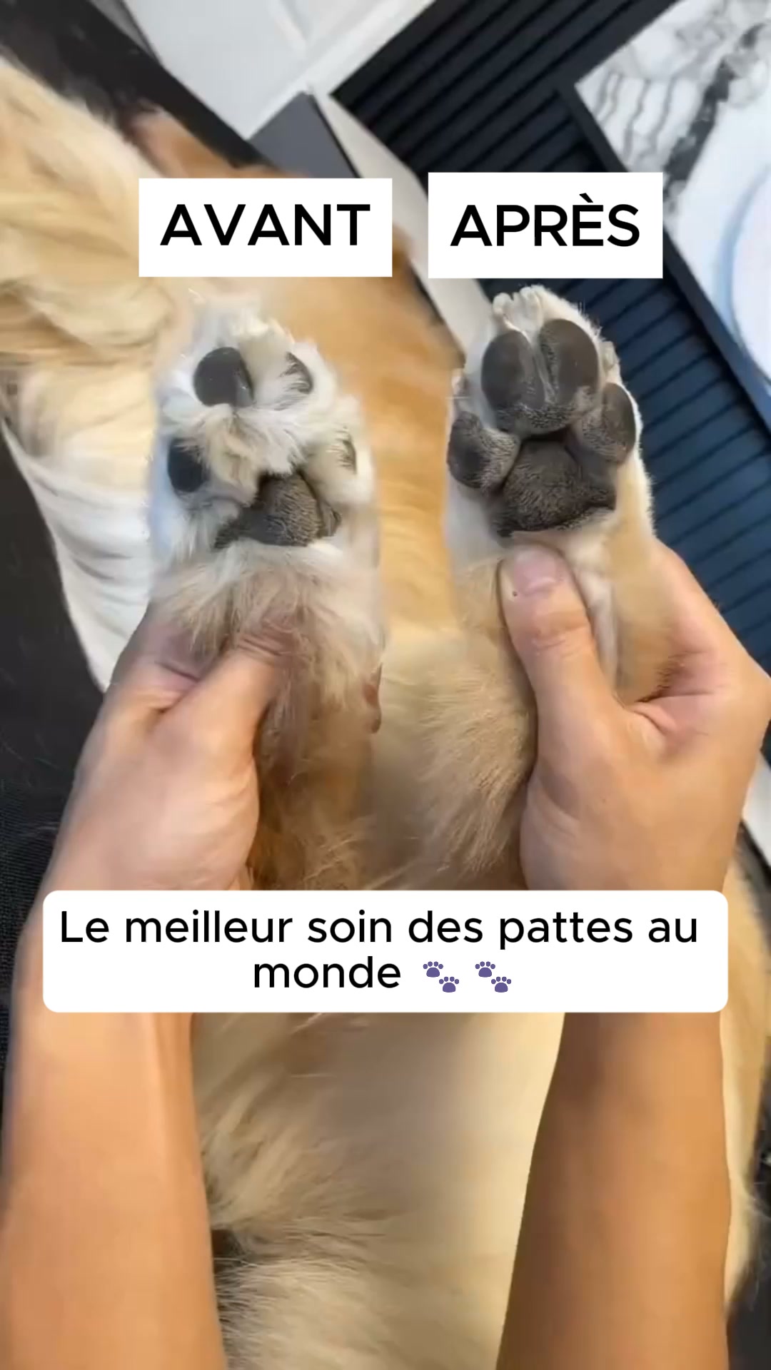 50% AUJOURD'HUI • Livraison offerte