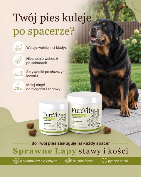 Twój pies kuleje po spacerze?