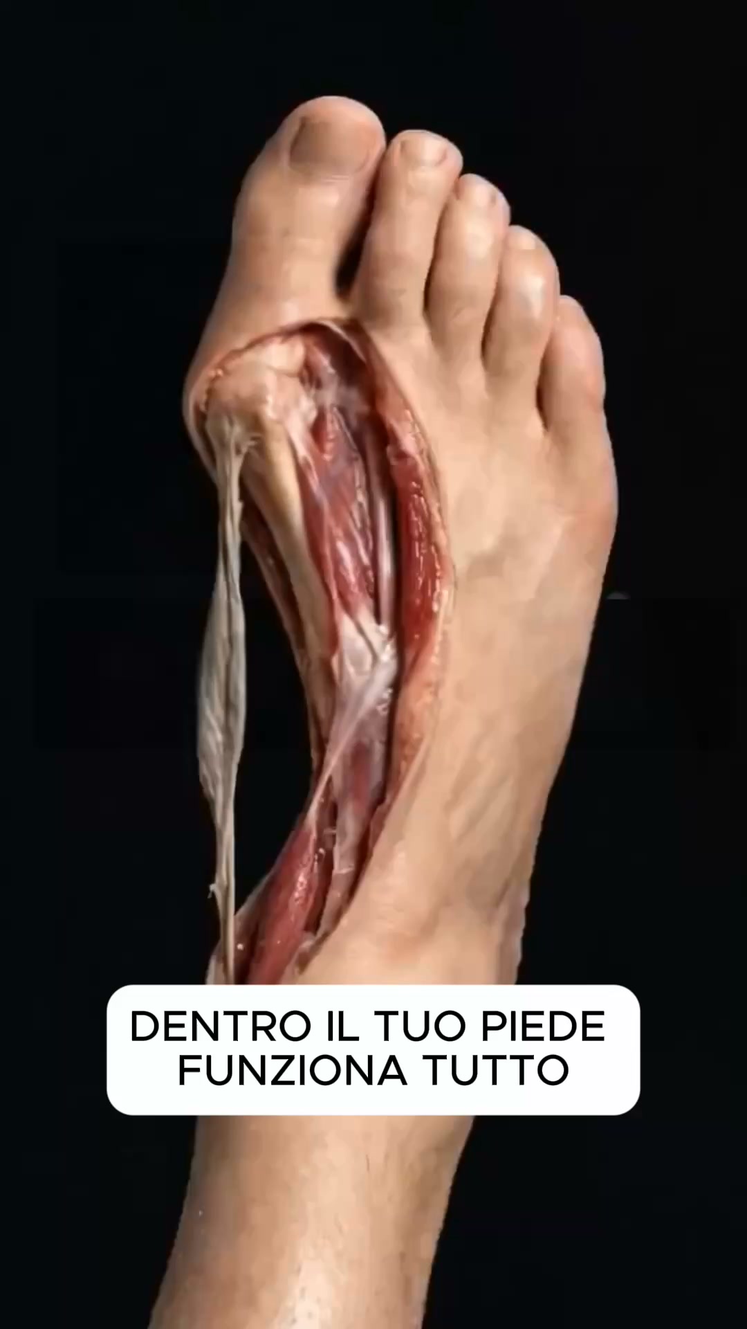 Dieci secondi per capirlo
