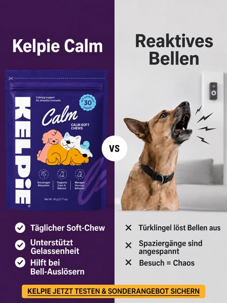 70 % RABATT + KOSTENLOSER Versand