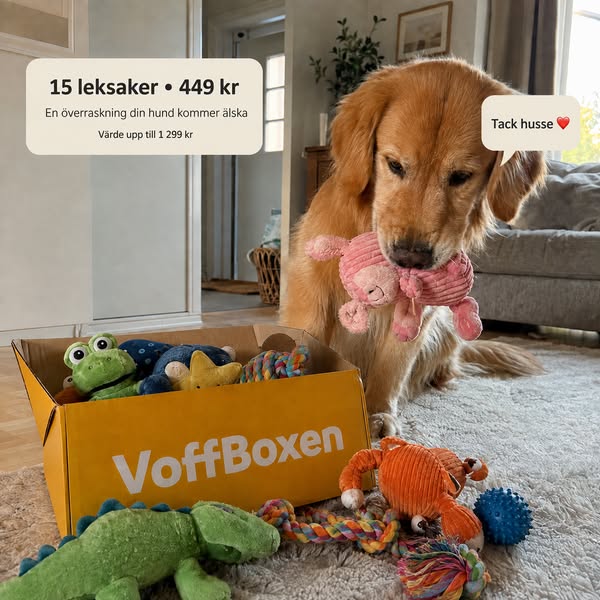 15 hundleksaker för endast 449 kr!