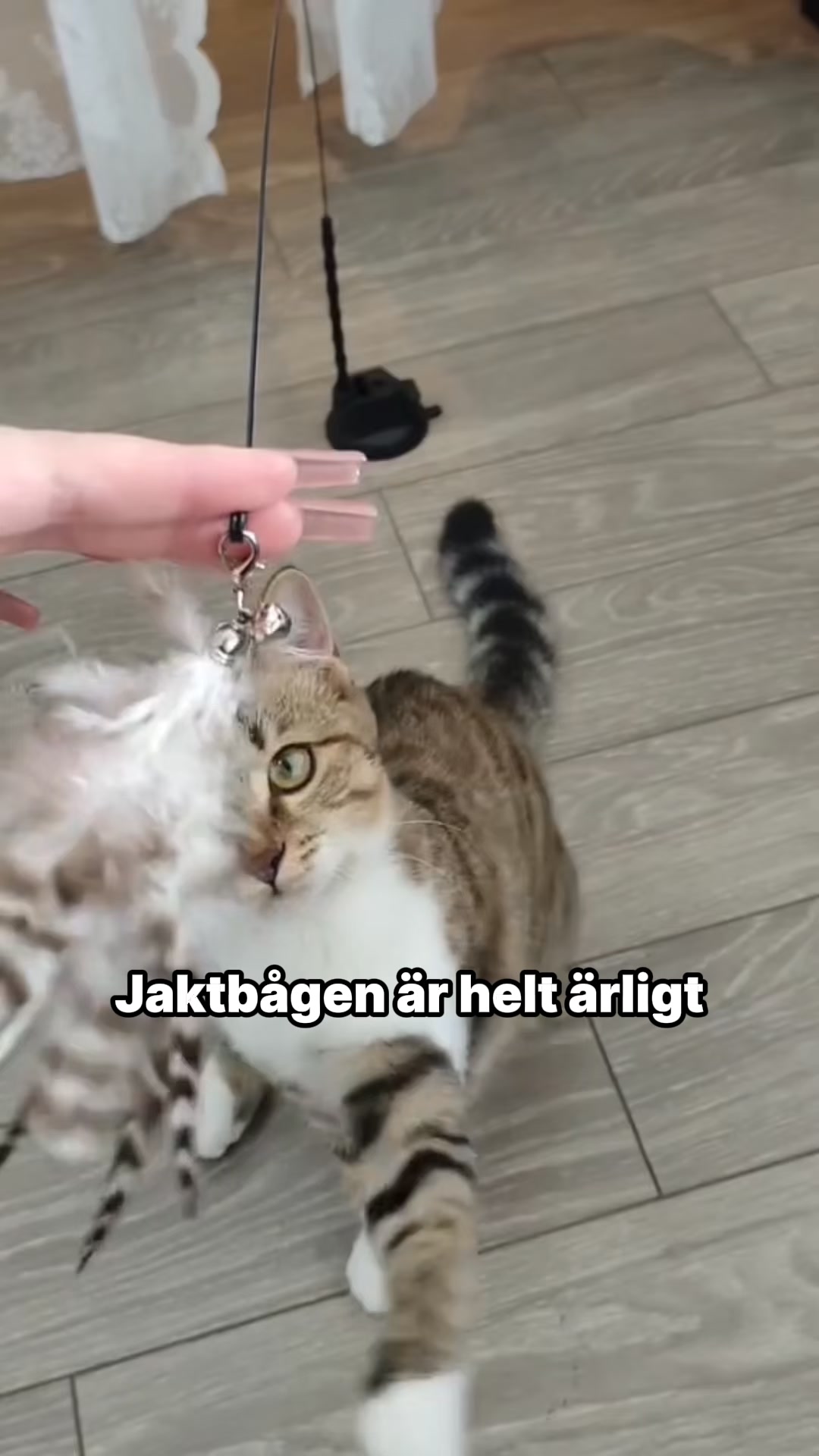 Jaktbågen - 30% REA