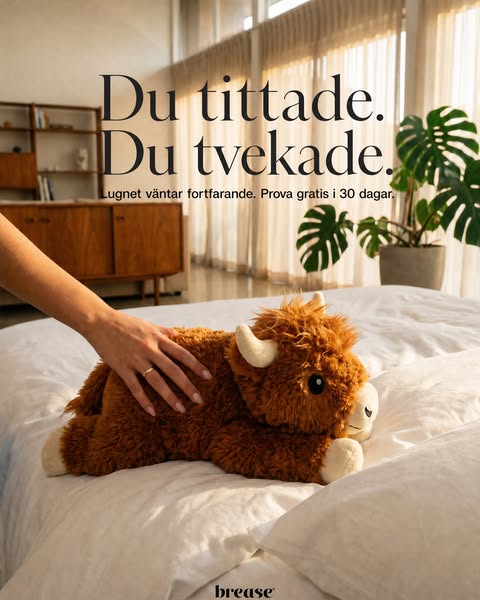 Lugnet väntar fortfarande