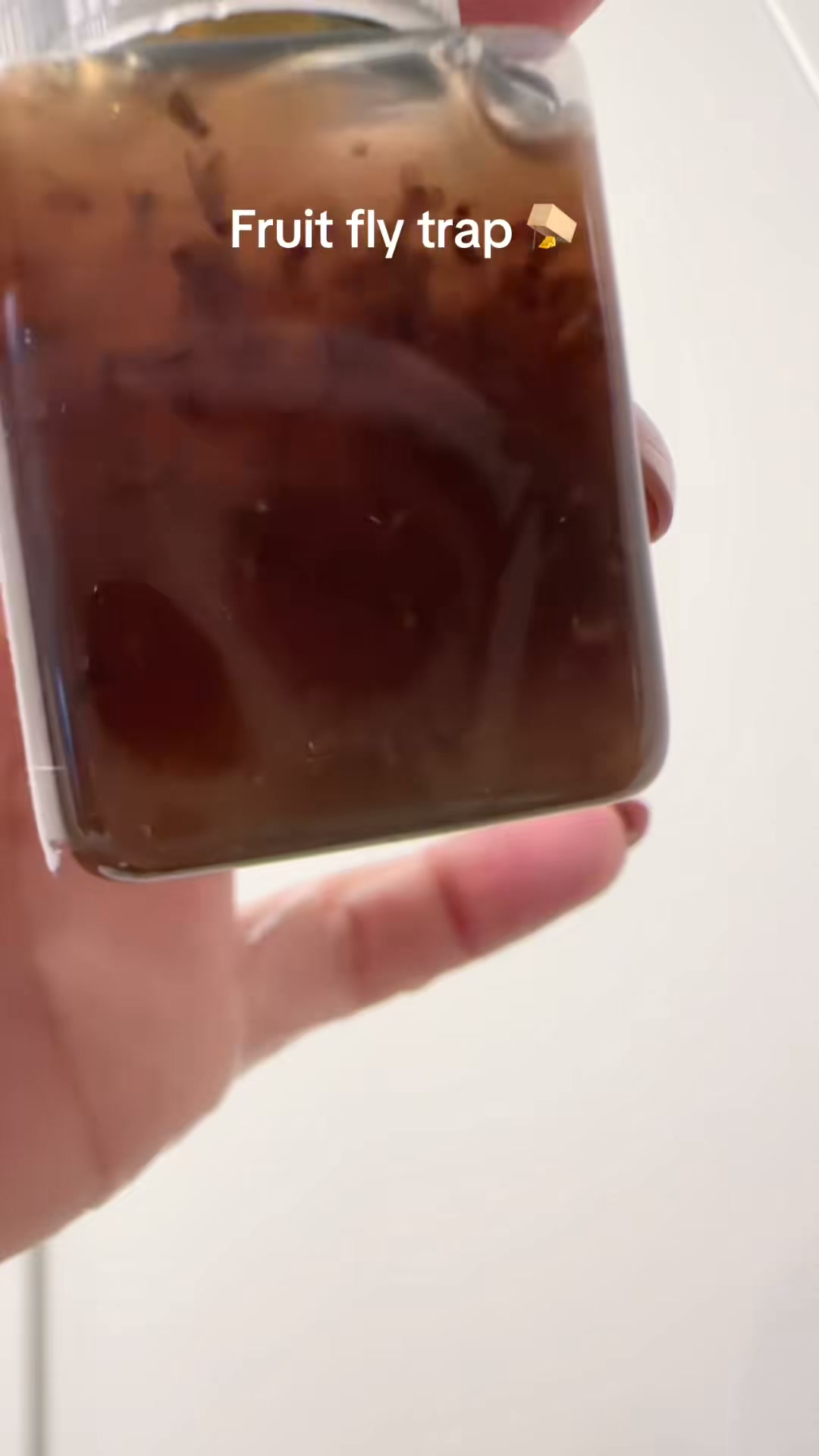 Ultra-Strong Fruit Fly Trap - User Friendly