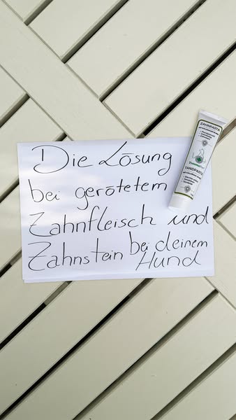 Nur das Beste für deinen Vierbeiner