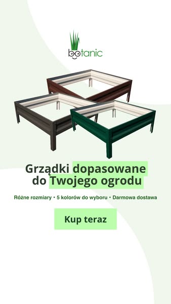 Darmowa dostawa