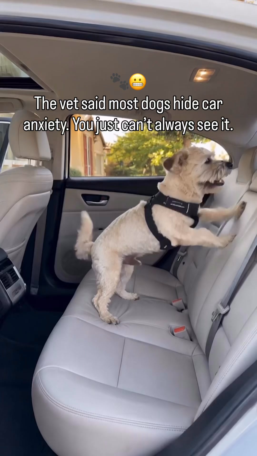 Safe & Comfy Rides in 1 Easy Step