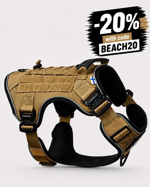 20% With Code BEACH20