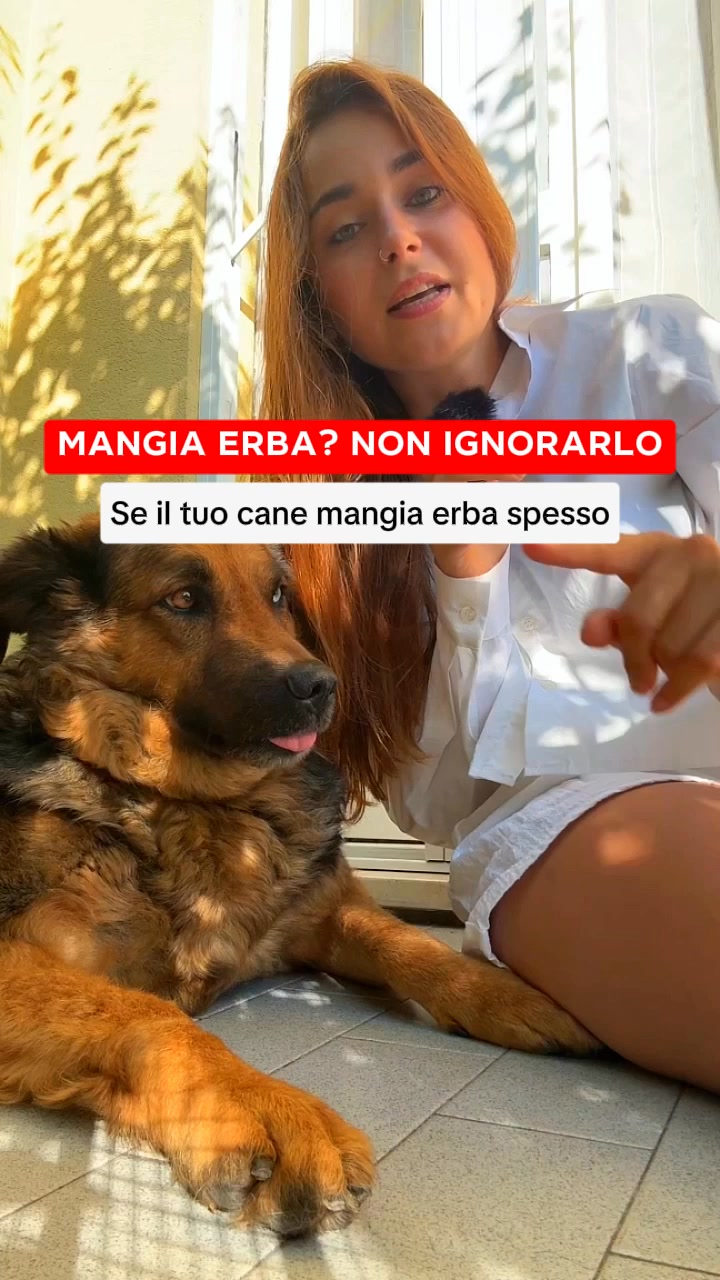 Aiuta il tuo cane oggi