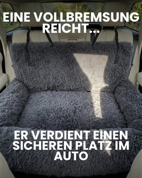 Ruhig, kuschelig & sicher angeschnallt