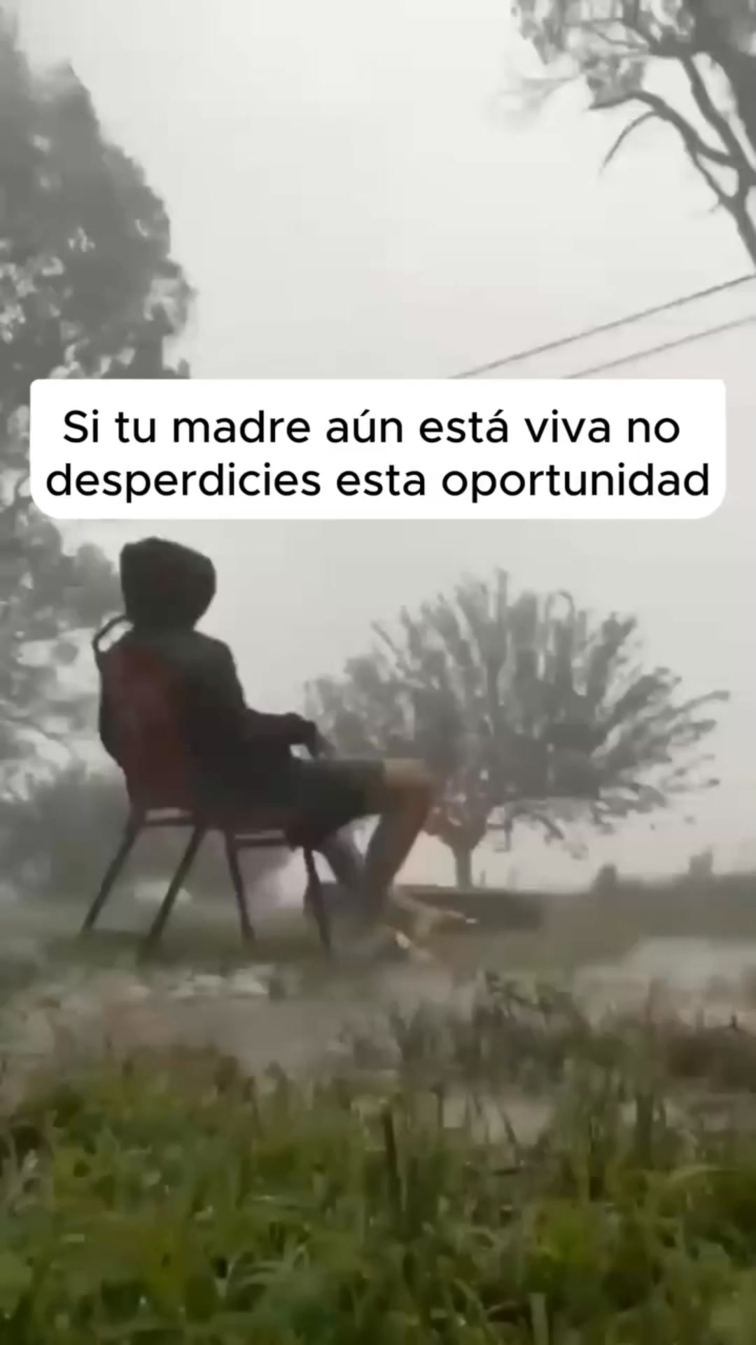 Pago contra reembolso