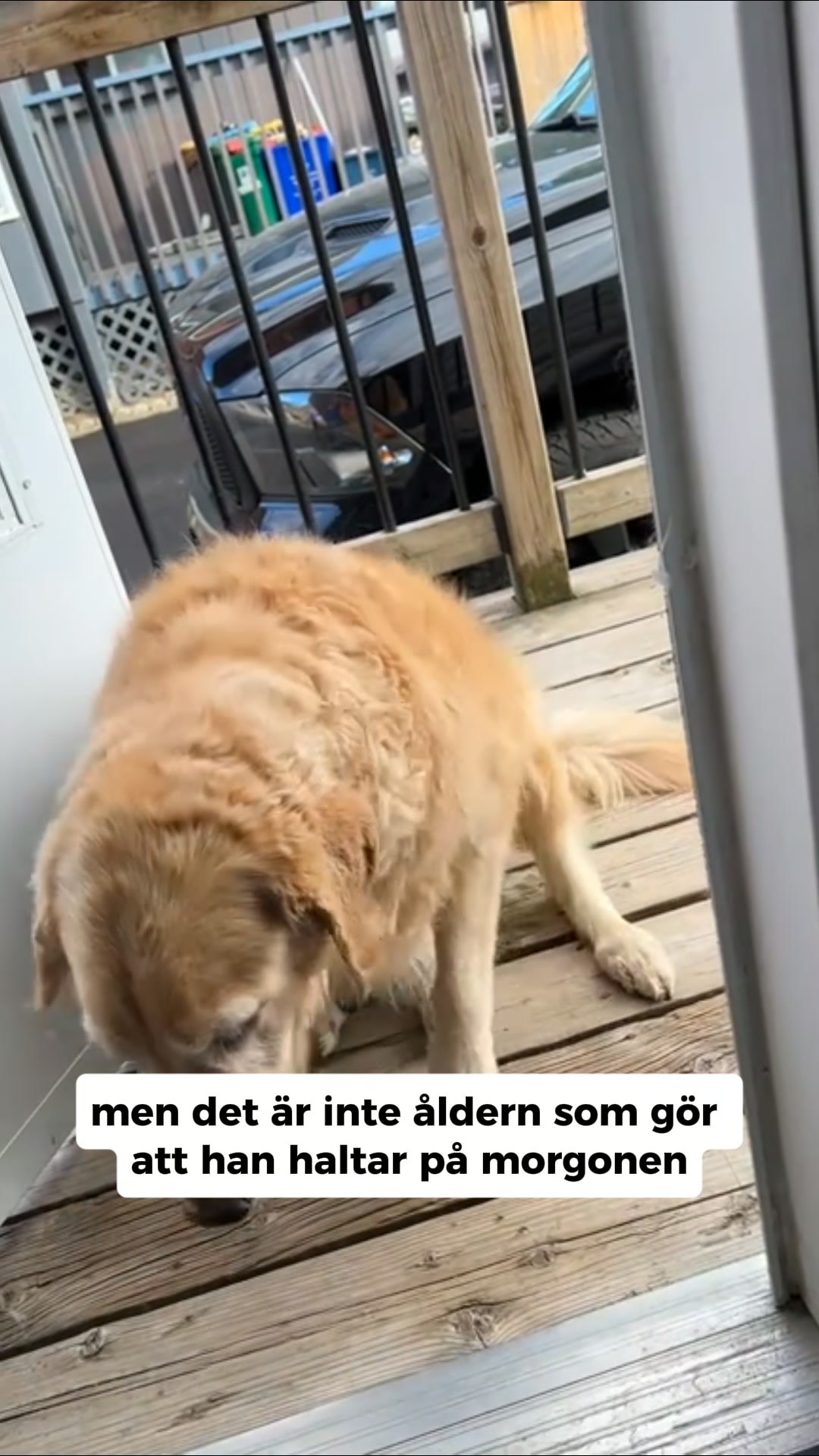 Ledgodis som faktiskt funkar