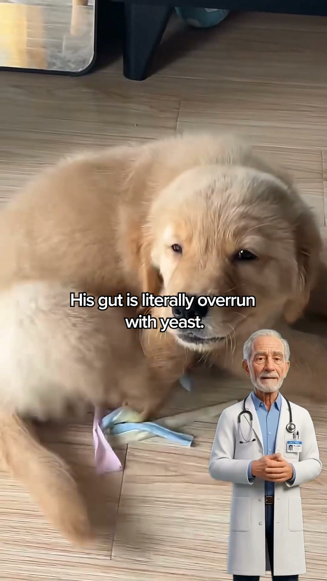 Why Tipaw Stops Yeast Coming Back