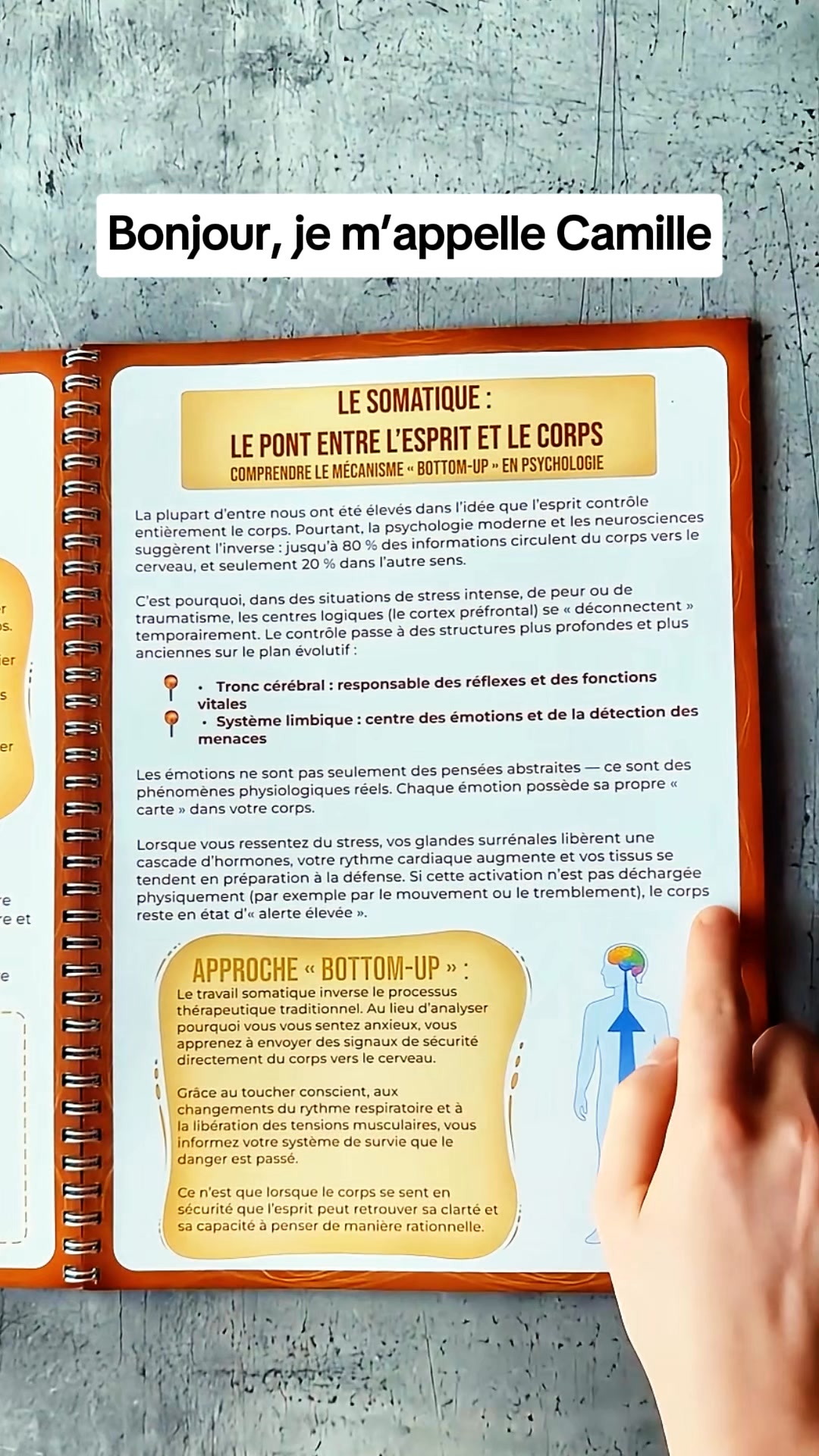 Cahier d’Exercices de Thérapie Somatique