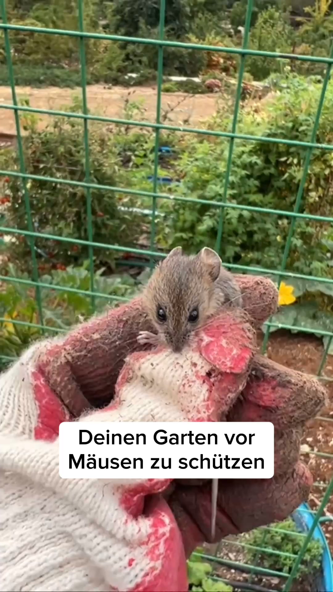 Über 16.000 glückliche Kunden