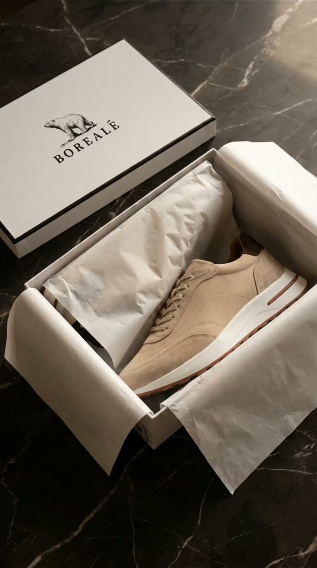 Borealé Co — Ravello Trainer