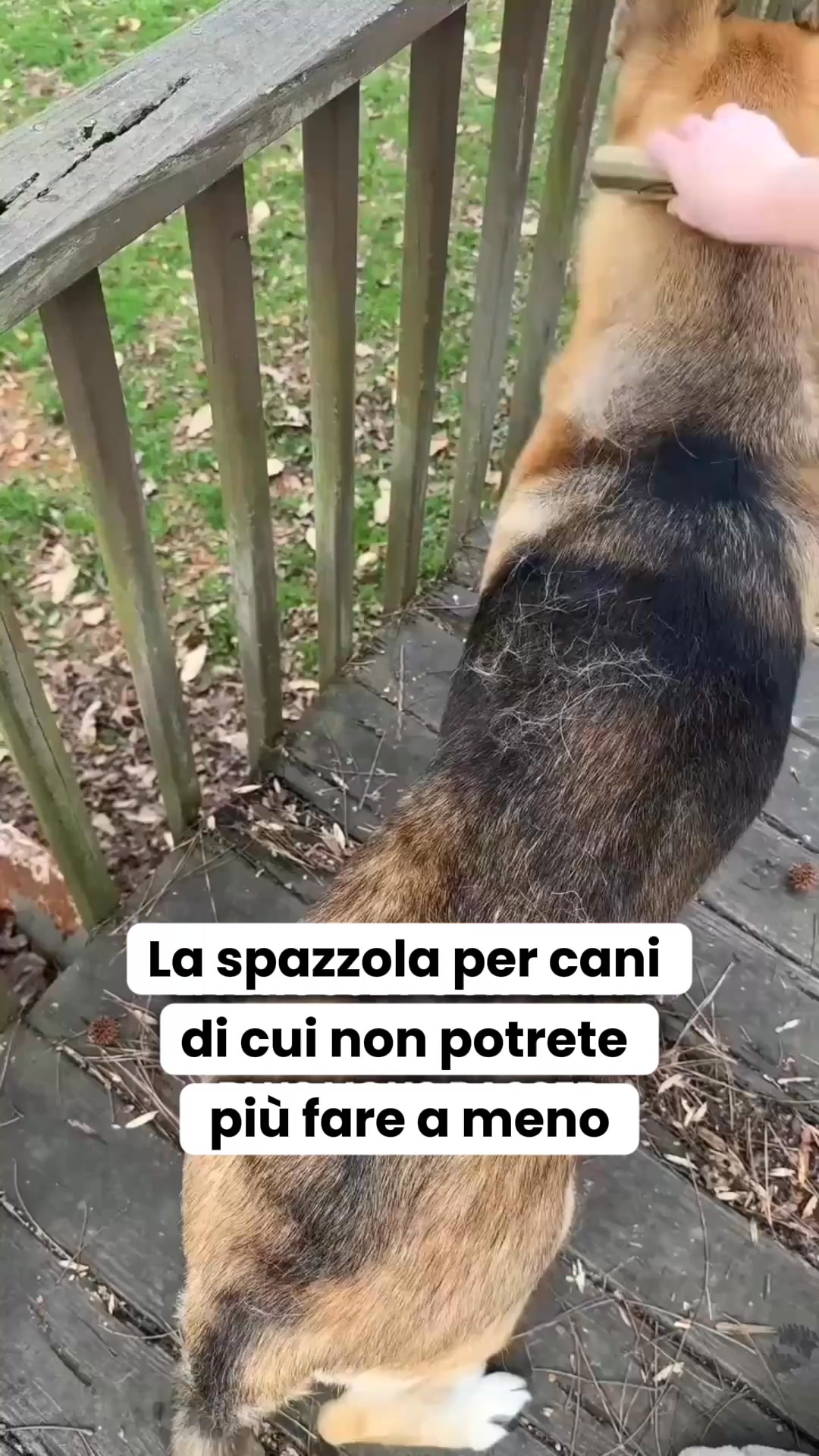 Provalo per 30 giorni senza alcun rischio