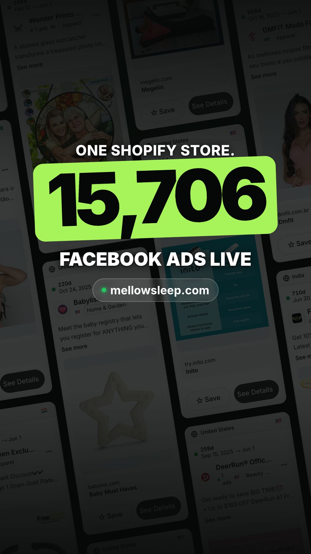 15,706 ads. One store.