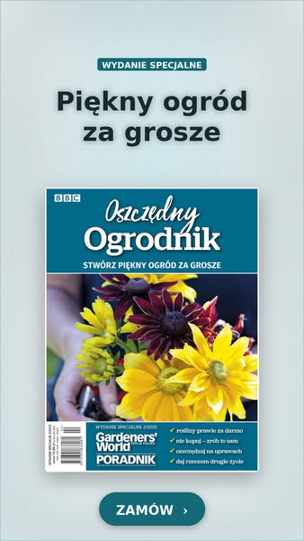 Oszczędzaj z nami!
