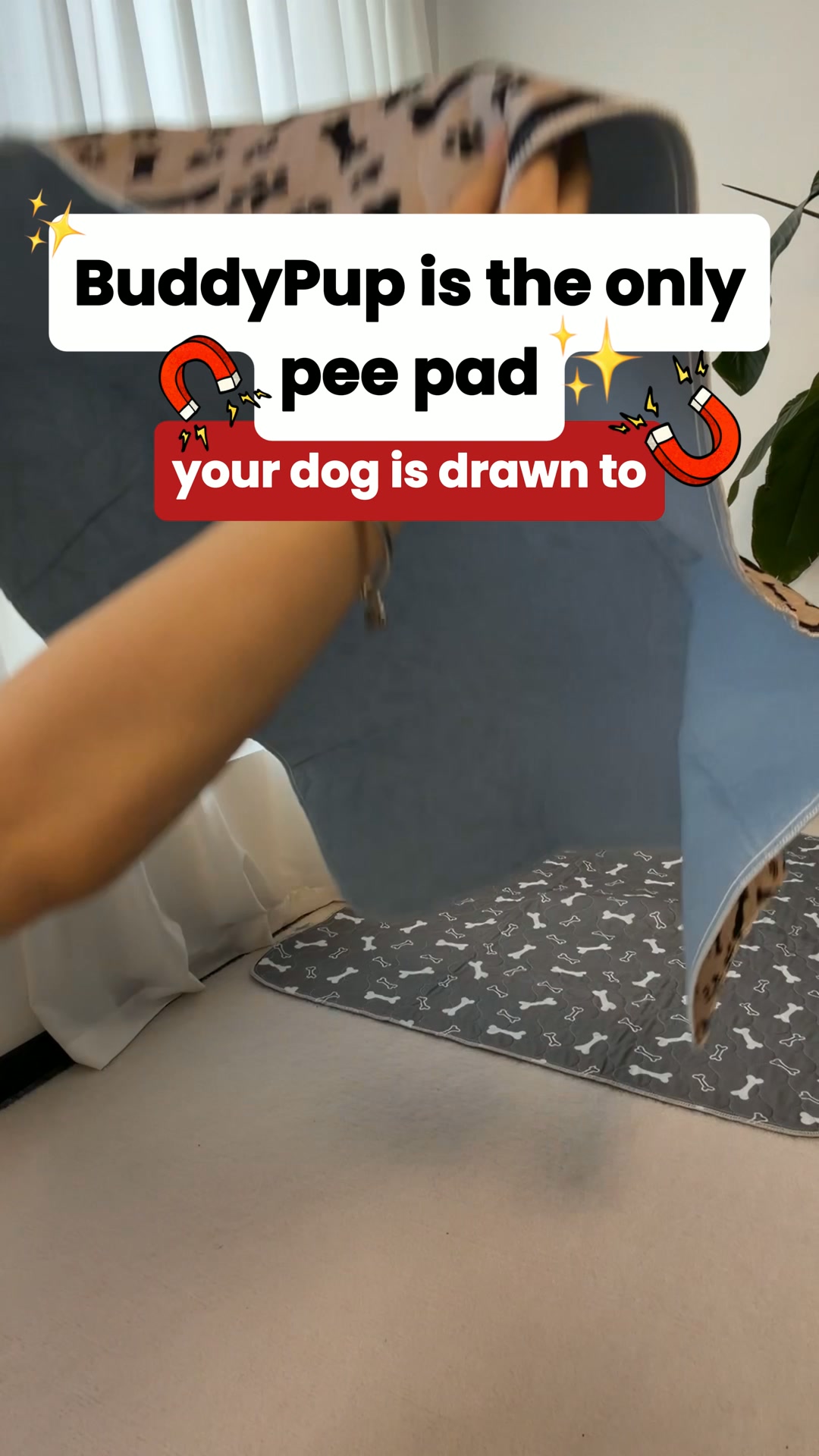 The Pad That Attracts Your Dog