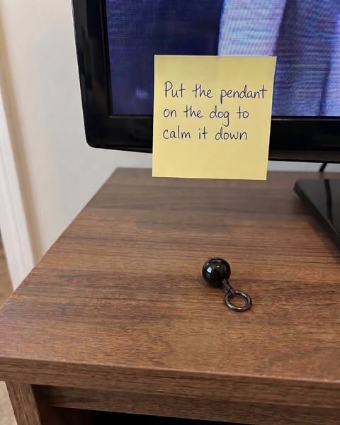 Zero Routine. Clip It On.